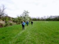  Wanderroute entlang der Burg- bzw Stadtmauer 