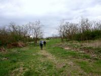  Wanderroute entlang der Burg- bzw Stadtmauer 