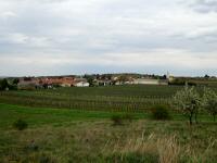  Fernblick nach Pillersdorf 