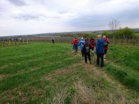  Wanderroute nach Pillersdorf 