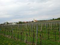  Fernblick nach Pillersdorf 