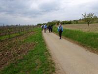  Wanderroute nach Pillersdorf 