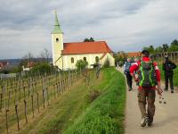  Wanderroute bei Pillersdorf 