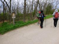  Wanderroute beim Hochsteinerberg 