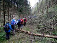 Wanderroute mit Hindernissen durch das Tal des Passendorfer Bachs 