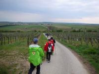  Wanderroute nach Rafing 