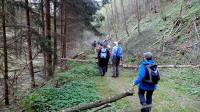 Wanderroute mit Hindernissen durch das Tal des Passendorfer Bachs 