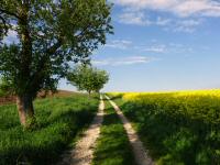  Wanderroute nach Salaberg 