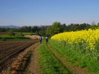  Wanderroute nach Salaberg 