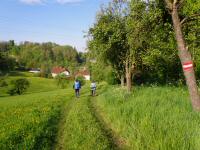  Wanderroute nach Salaberg 