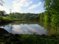 Blick auf den schnen Teich im Norden des Tierparks Stadt Haag 
