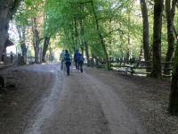  Wanderroute durch den Tierpark Stadt Haag 