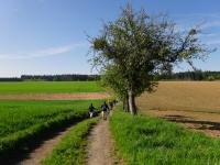  Wanderroute im Gebiet der Streusiedlung Waldhuser 