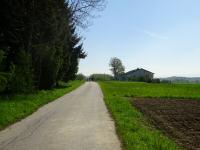  Wanderroute in der Riede Holzleiten 