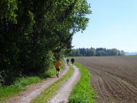  Wanderroute in der Riede Holzleiten 