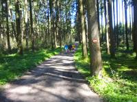  Wanderroute durch den Haager Wald 