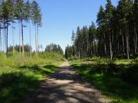  Wanderroute durch den Haager Wald 