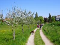 Wanderroute ber die Hollengruberstrae 