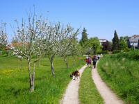  Wanderroute ber die Hollengruberstrae 