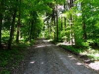  Wanderroute durch den Buchenwald 