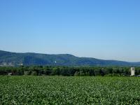  Fernblick ber die Donauauen zur Burg Greifenstein 