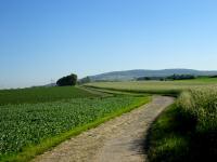  Blick auf die Wanderastrecke 
