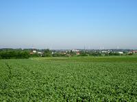  Fernblick nach Stockerau 