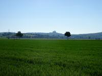  Fernblick zur Burg Kreuzenstein 