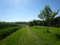  Wanderroute durch die groe Riede Heidfeld 