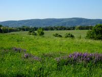  Fernblick zu den Bergen des Wienerwalds 