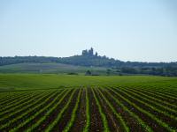  Fernblick zur Burg Kreuzenstein, stark gezoomt 