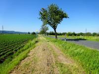 Wanderroute kurz entlang der Wiesener Strae (L1126) 