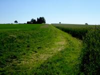  Wanderroute leicht bergan zum Friedhof Spillern 