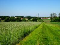  Fernblick nach Stockerau 