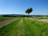  Wanderroute entlang der Wiesener Strae (L1126) 