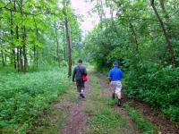  Wanderroute durch die Schlossau bei Eind 