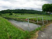 Fernblick ber den Traisenkanal (Mhlgraben) zum Spiegelberg 