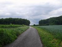  Wanderroute leicht bergan auf den Hhnerbhel 