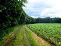  Wanderroute auf dem Hhnerbhel 