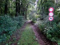  Wanderroute durch den Wald des Oberen Sattel 