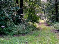  Wanderroute durch den Wald des Oberen Sattel 