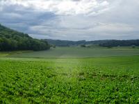  Fernblick nach Gutenbrunn 