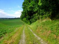  Wanderroute durch die Riede Gradfeld 