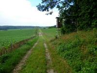  Wanderroute durch die Riede Gradfeld 