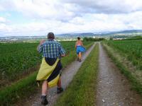  Wanderroute nach St. Andr an der Traisen 