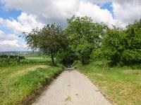  Wanderroute nach St. Andr an der Traisen 