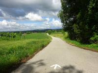  Wanderroute nach St. Andr an der Traisen 