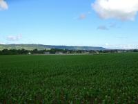  Fernblick nach Angern - Eind 