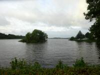  Blick auf den Sonderso - sdlicher Viborgsee 