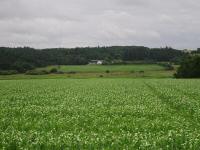  schner Fernblick zum Gehft Montage 